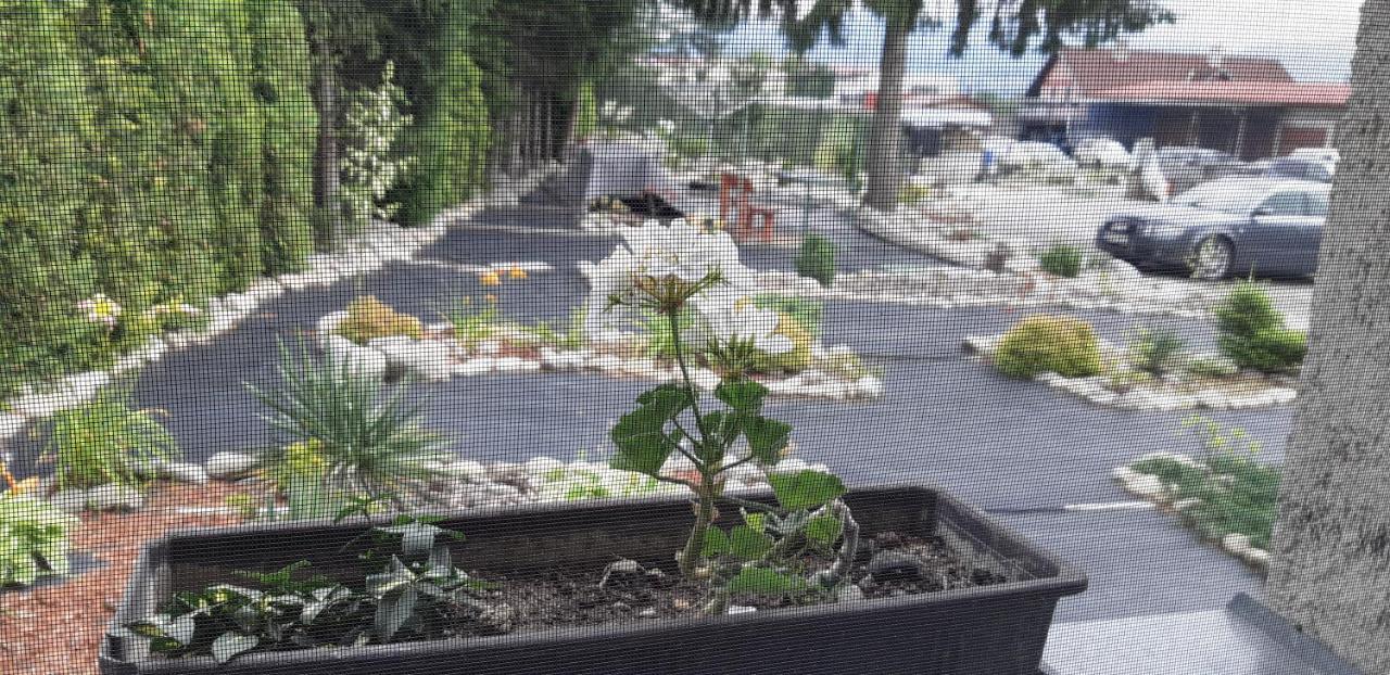 Apartman Yvet Sucany المظهر الخارجي الصورة
